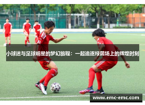 小球迷与足球明星的梦幻旅程：一起追逐绿茵场上的辉煌时刻