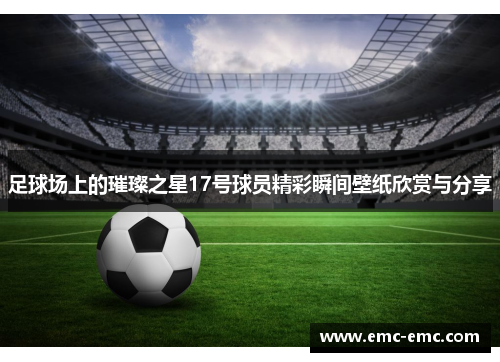 足球场上的璀璨之星17号球员精彩瞬间壁纸欣赏与分享